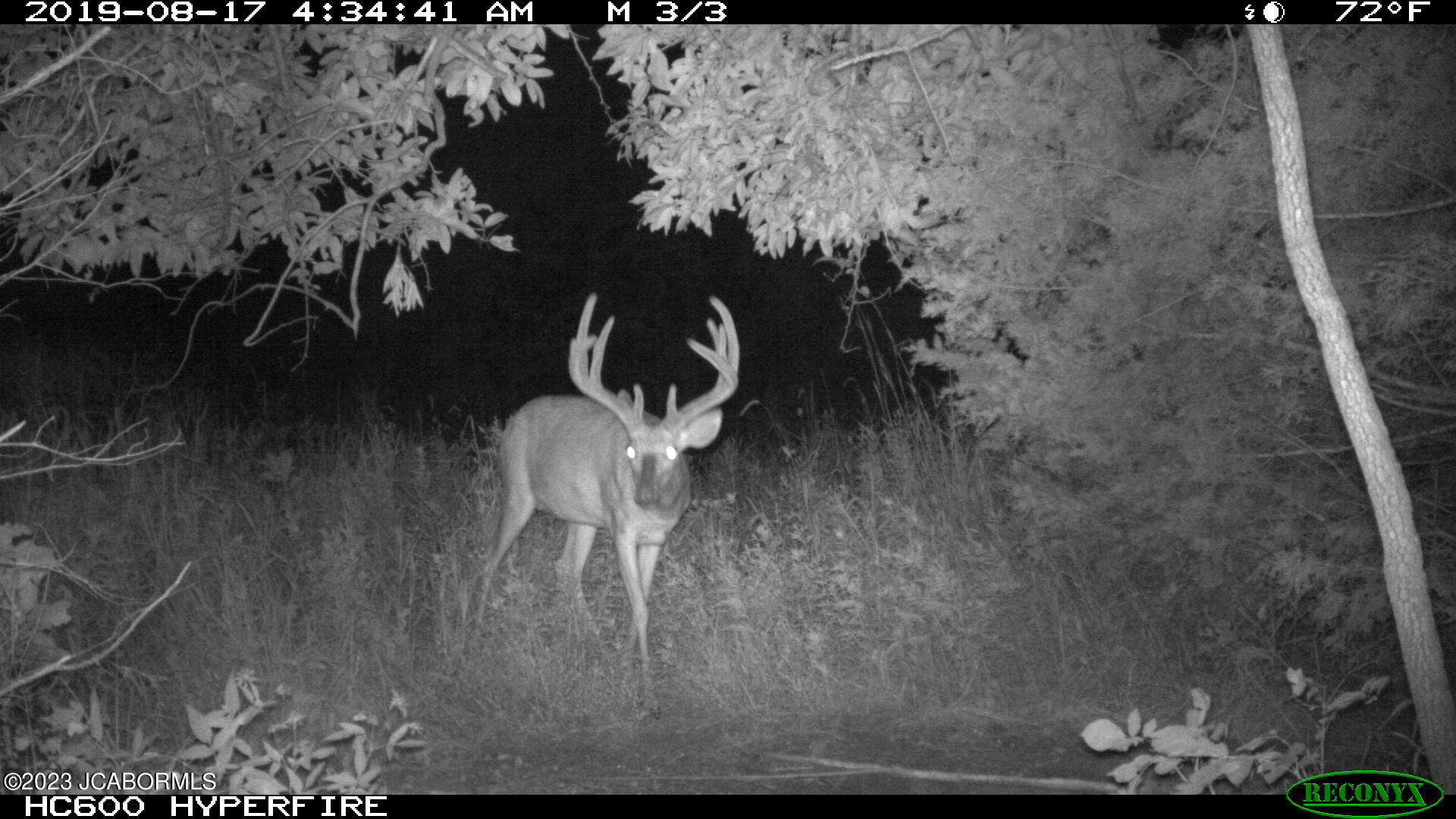 Tbd Big Lick Road Boonville, MO 65233 - Photo 28 of 59