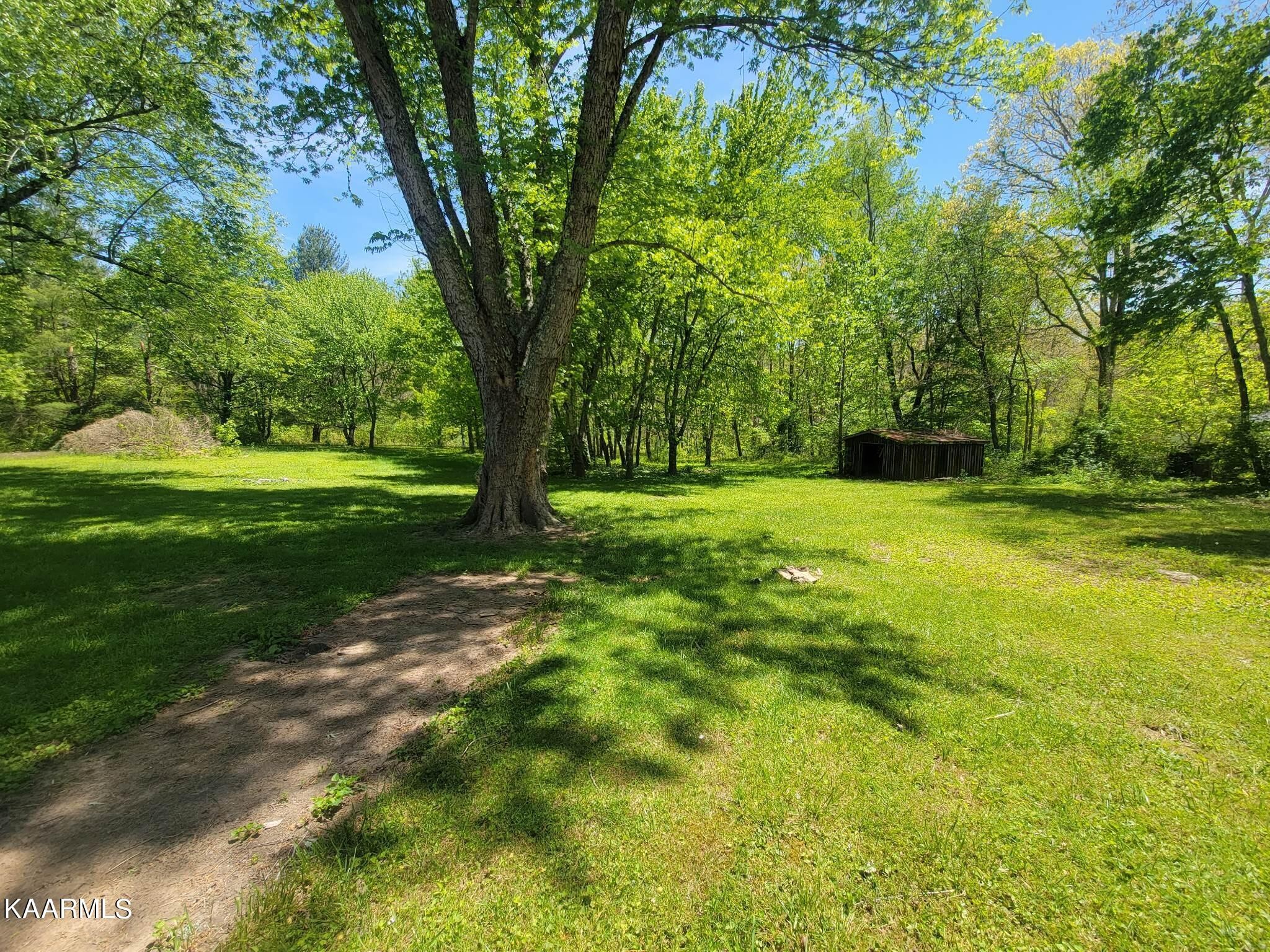 1054 Franklin Loop Clarkrange, TN 38553 - Photo 33 of 35 a view of a trees in a yard