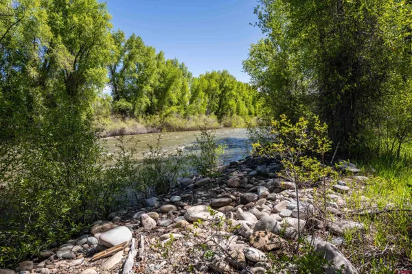 a view of a lake with a tree