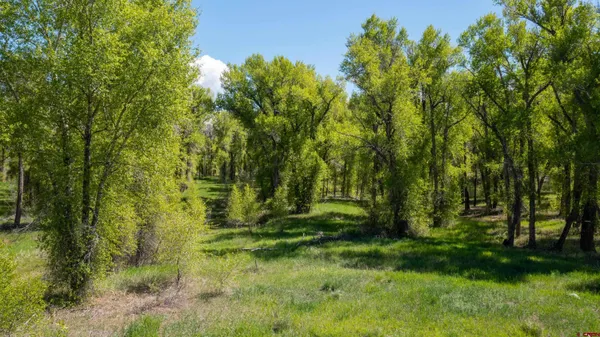 a view of outdoor space