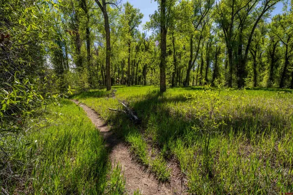 a view of backyard with green space