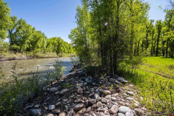 a view of yard with green space