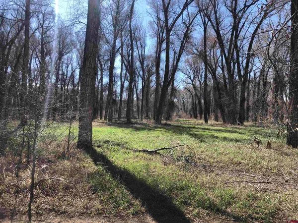 a view of outdoor space with trees