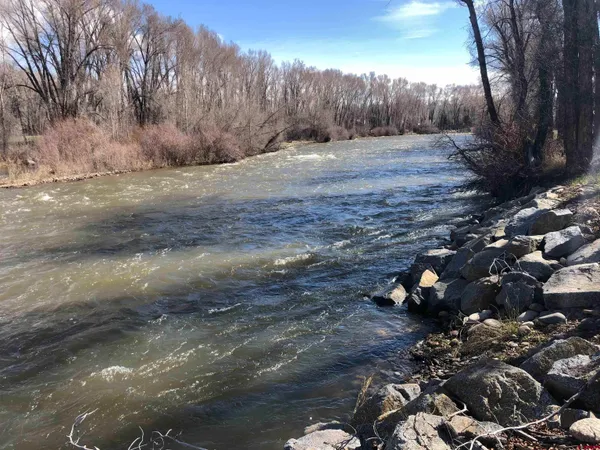 a view of a yard with wooden fence