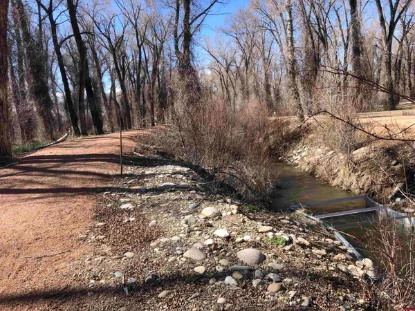 a view of a yard with trees