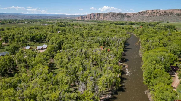 a view of a lush green forest with lots of trees