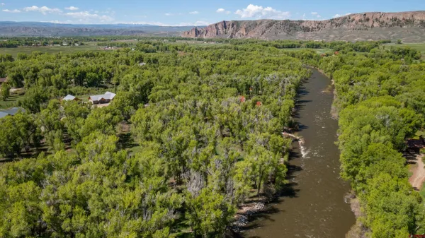 a view of a city with lush green forest