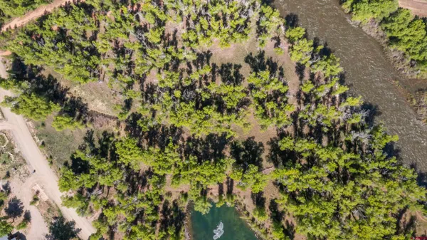 a view of a plant with a plant