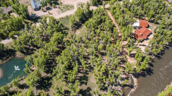 a picture of street with lots of bushes