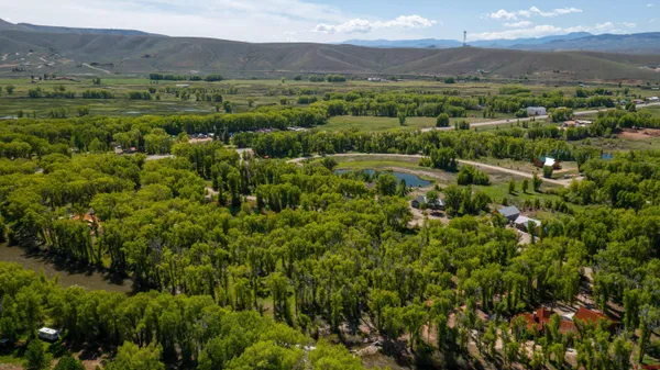 a view of a city with lush green forest