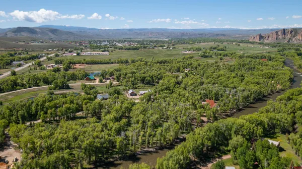a view of a lush green field with lots of bushes
