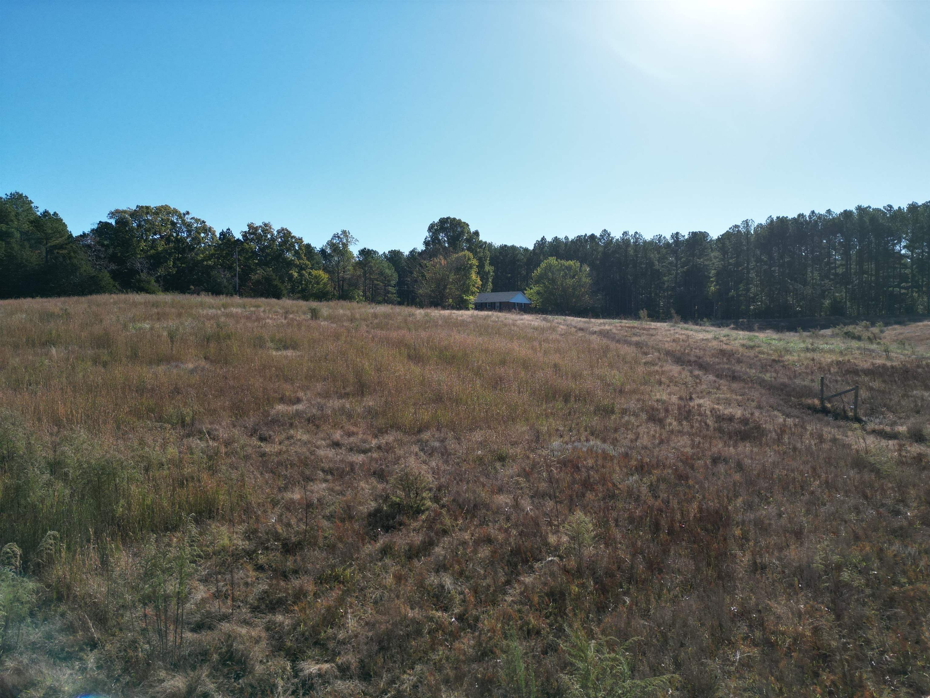 0 Whites Creek Road Savannah, TN 38372 - Photo 11 of 17 a view of an outdoor space and a yard
