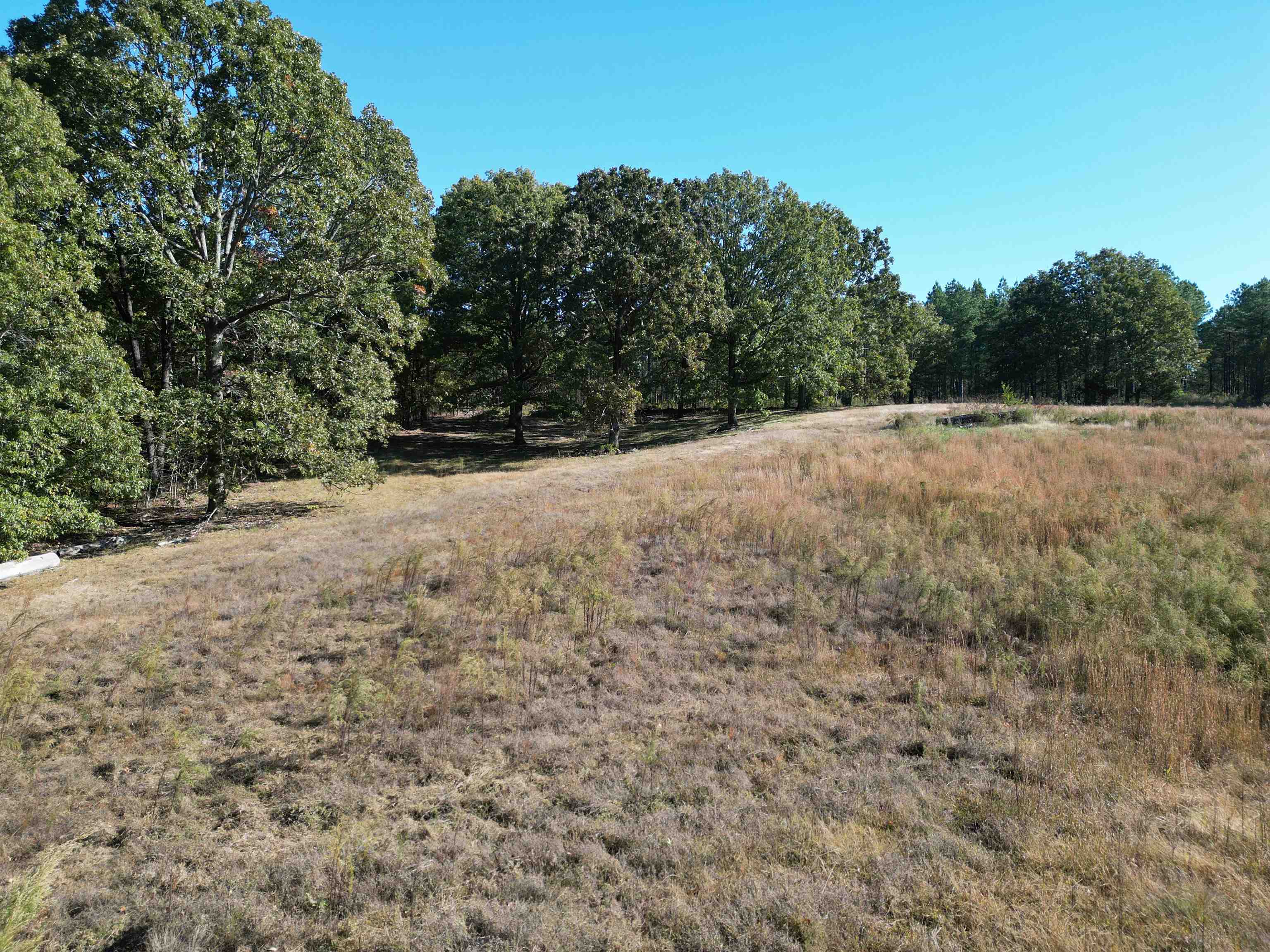 0 Whites Creek Road Savannah, TN 38372 - Photo 12 of 17 a view of a backyard of a house