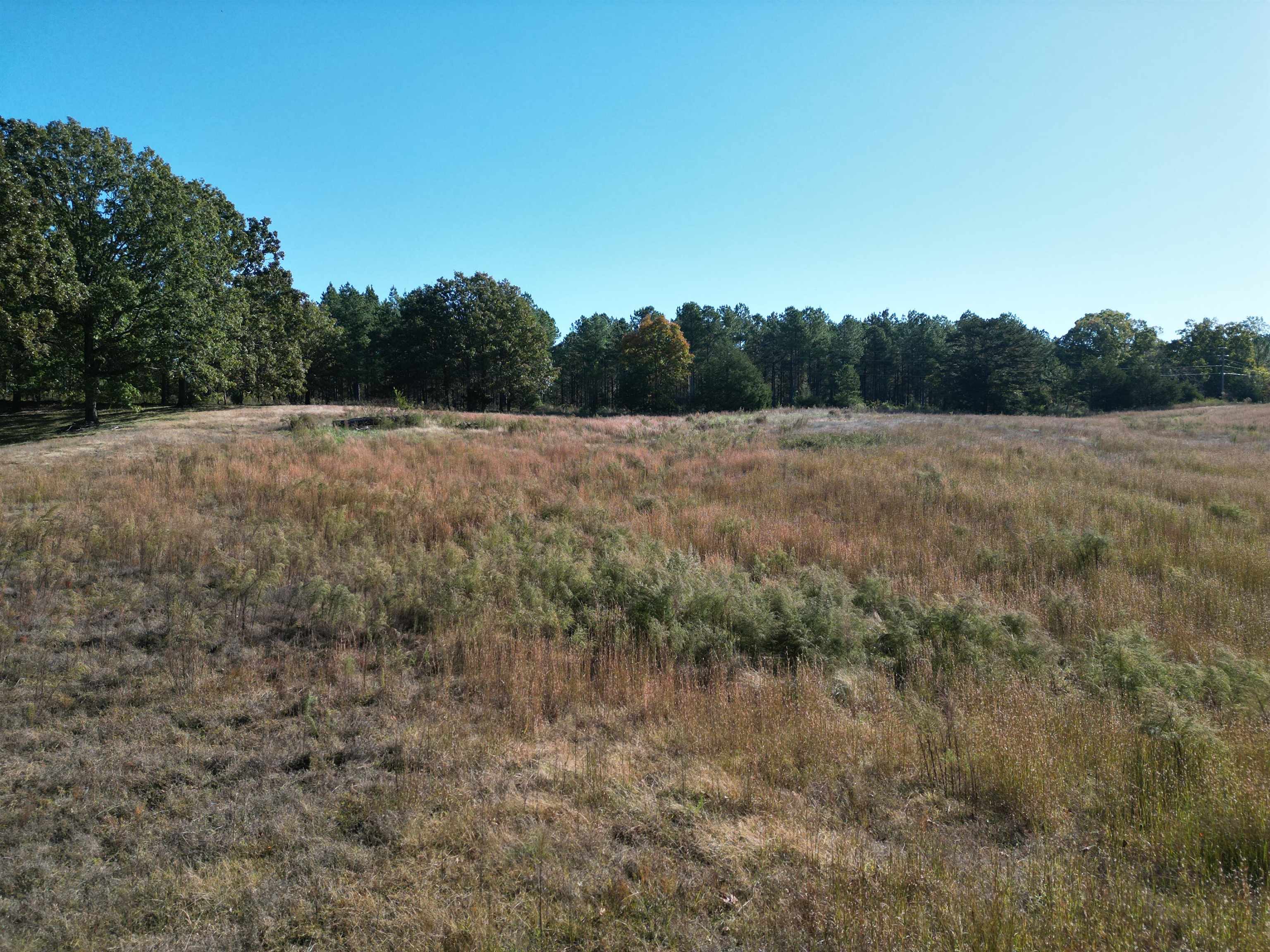 0 Whites Creek Road Savannah, TN 38372 - Photo 13 of 17 a view of large green field with trees in background