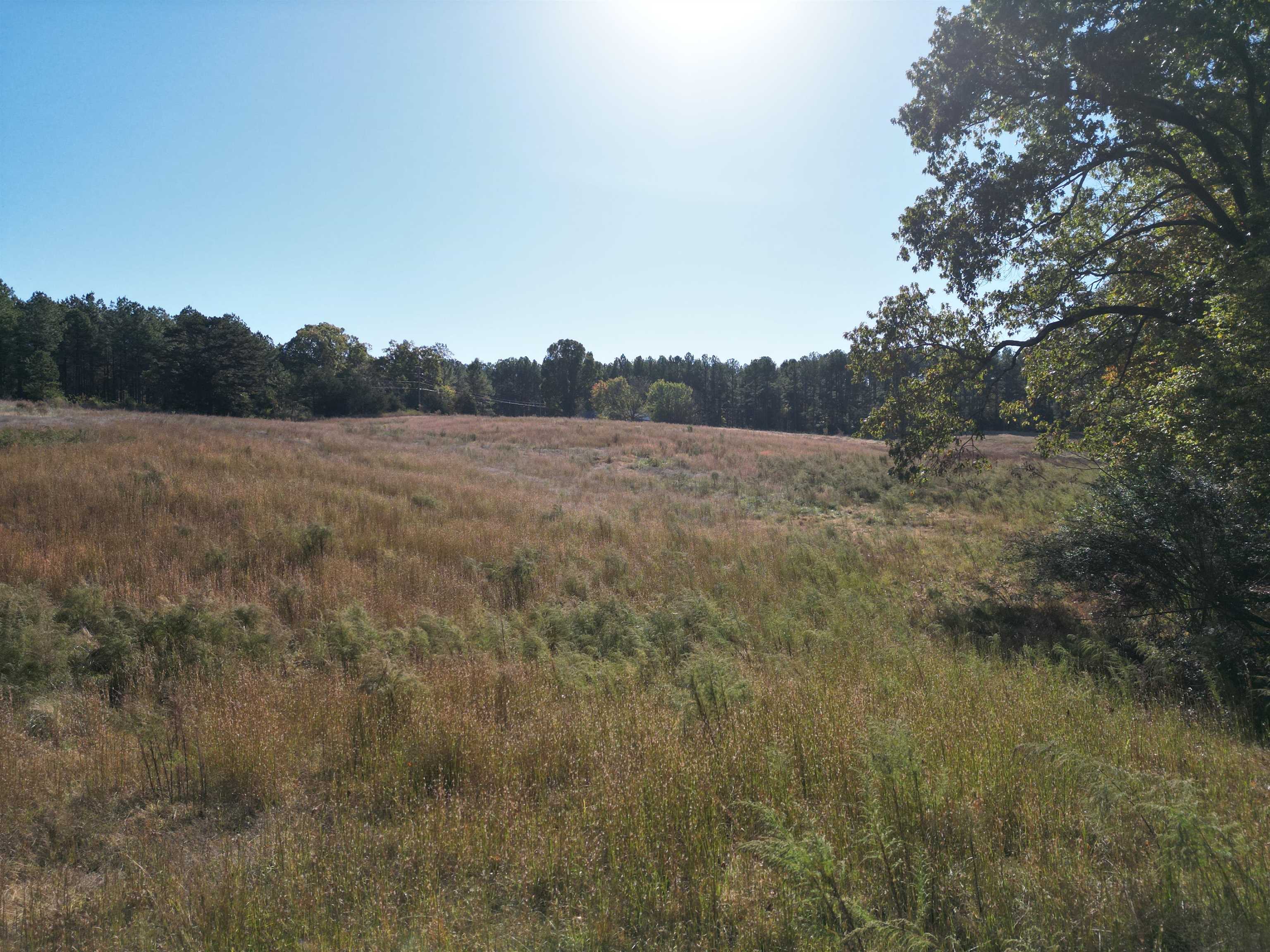 0 Whites Creek Road Savannah, TN 38372 - Photo 14 of 17 a view of an outdoor space and a yard