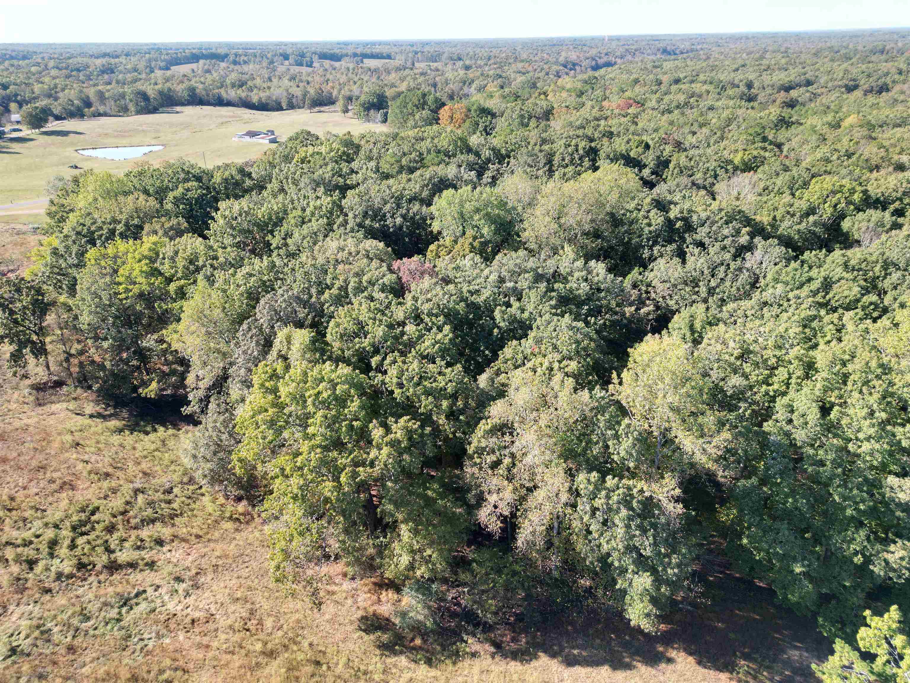 0 Whites Creek Road Savannah, TN 38372 - Photo 16 of 17 an aerial view of a houses with a yard