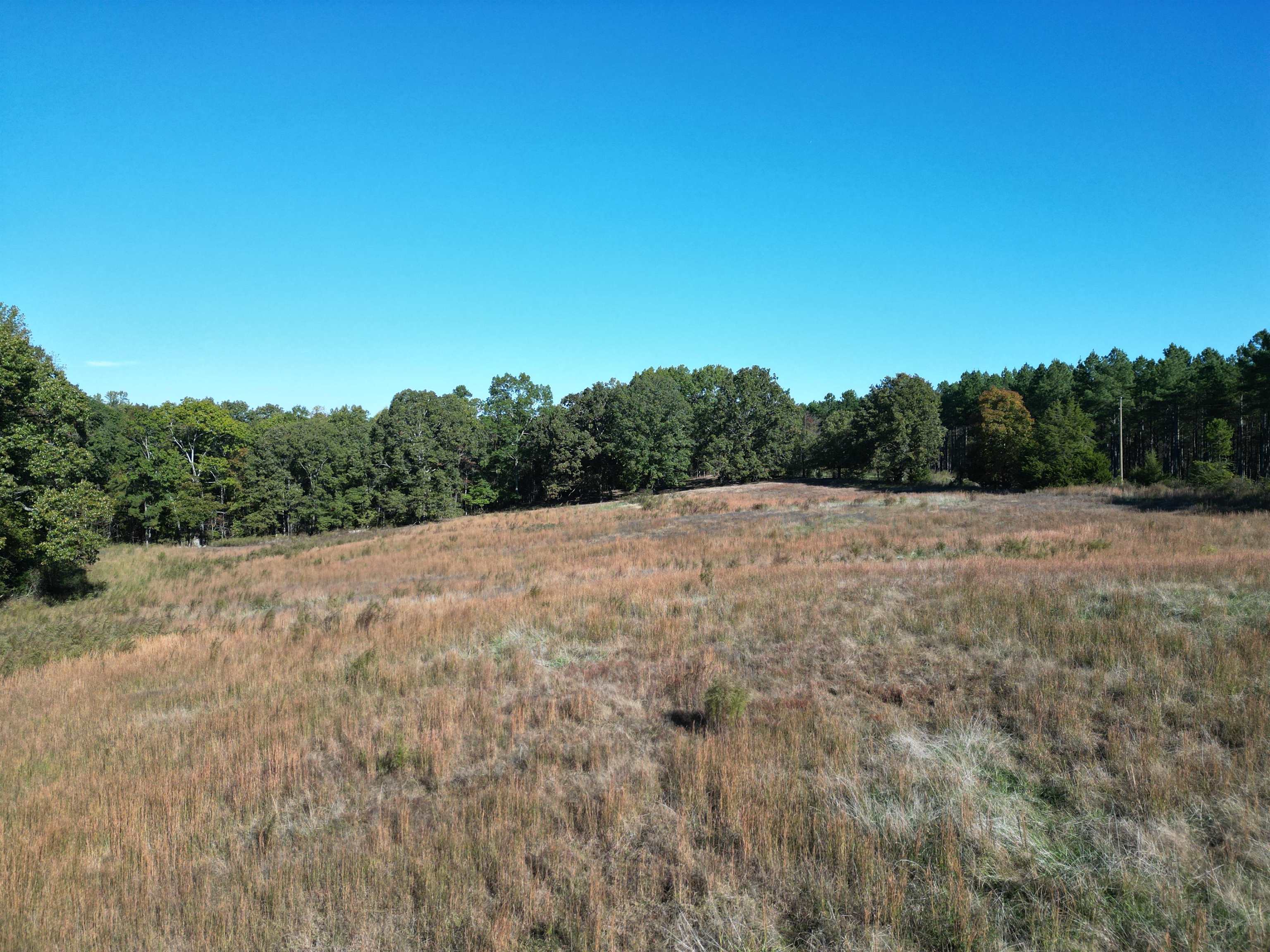 0 Whites Creek Road Savannah, TN 38372 - Photo 3 of 17 a view of a field with trees in background
