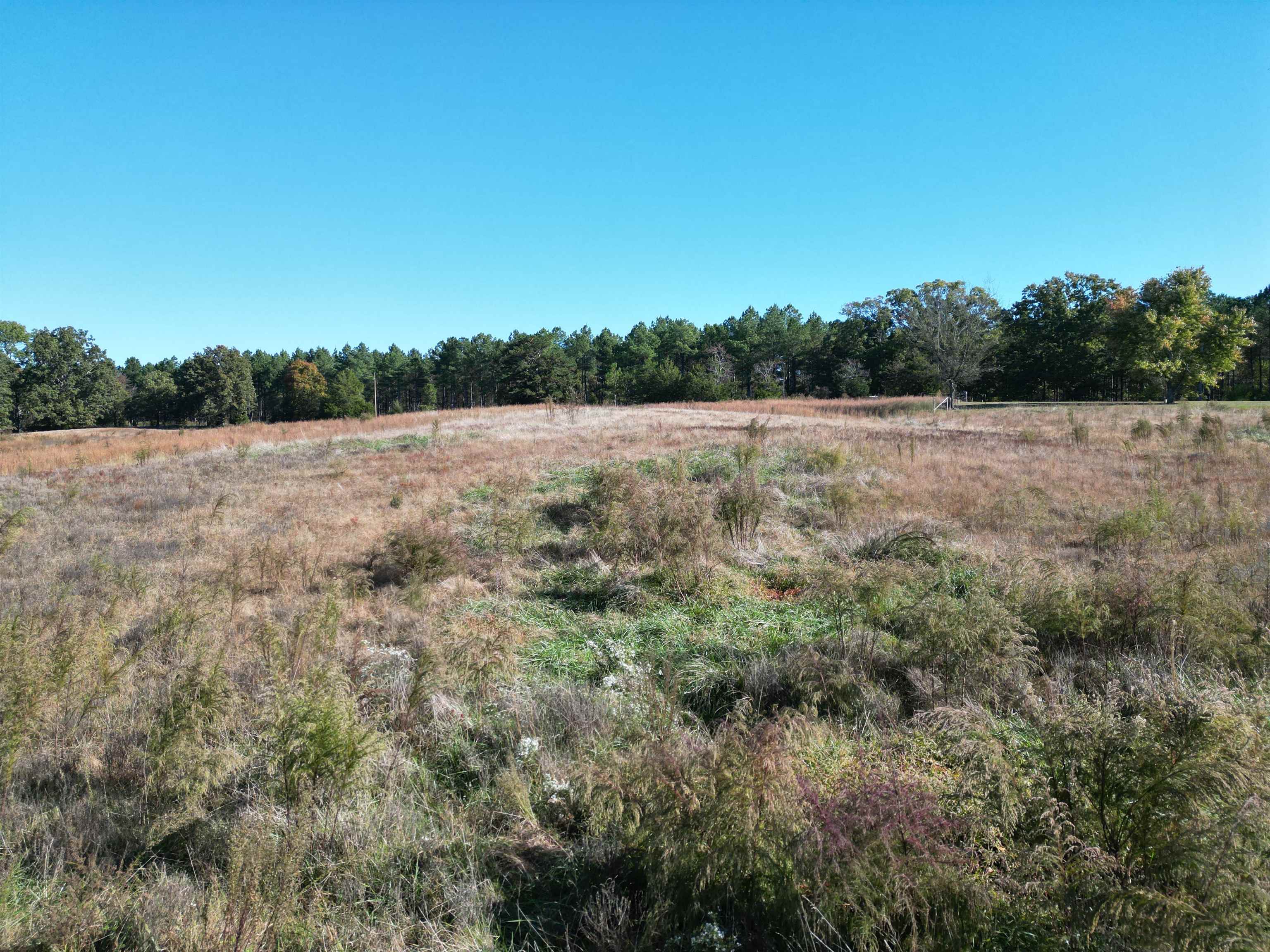 0 Whites Creek Road Savannah, TN 38372 - Photo 8 of 17 a view of an outdoor space and a yard