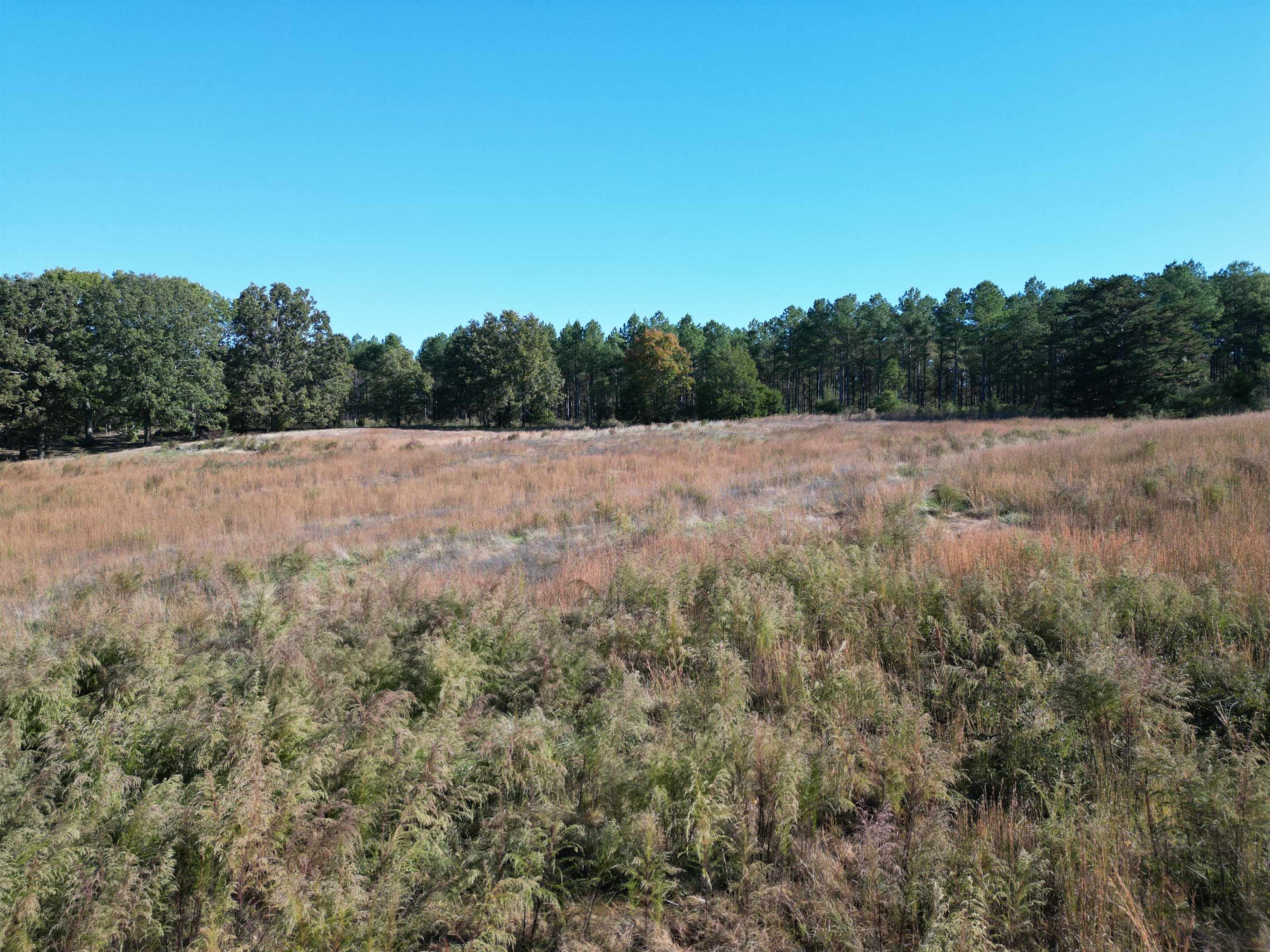 0 Whites Creek Road Savannah, TN 38372 - Photo 10 of 17 a view of an outdoor space and a yard