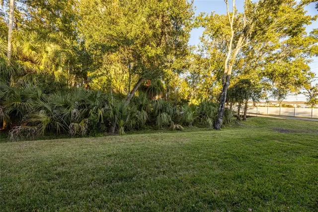 a view of a field with trees