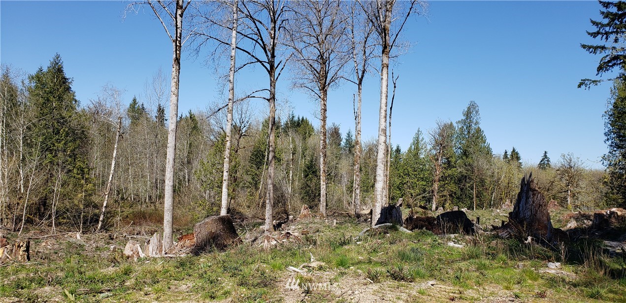 6 X Southeast Channel Point Road Shelton, WA 98584 - Photo 14 of 26 Gallery Image 14