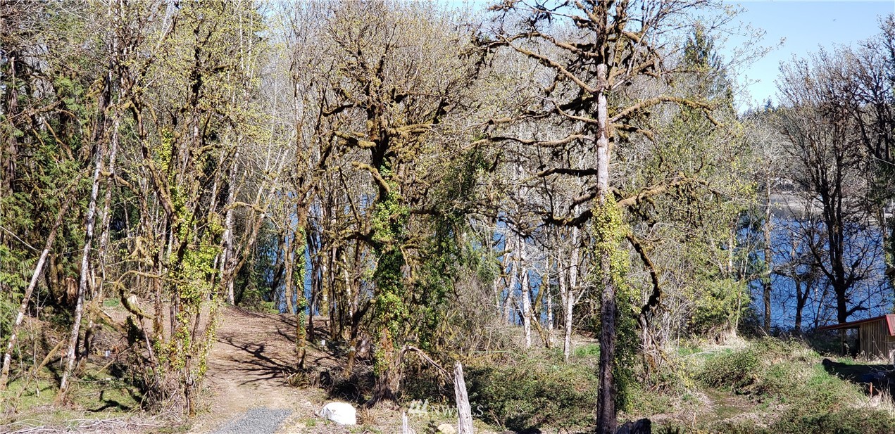 6 X Southeast Channel Point Road Shelton, WA 98584 - Photo 3 of 26 Gallery Image 3