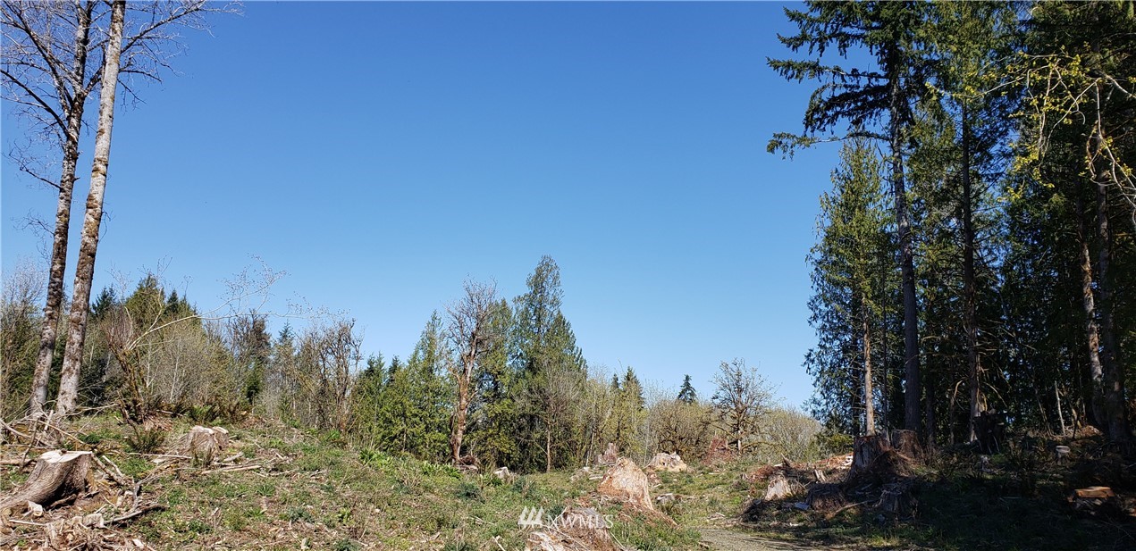 6 X Southeast Channel Point Road Shelton, WA 98584 - Photo 8 of 26 Gallery Image 8
