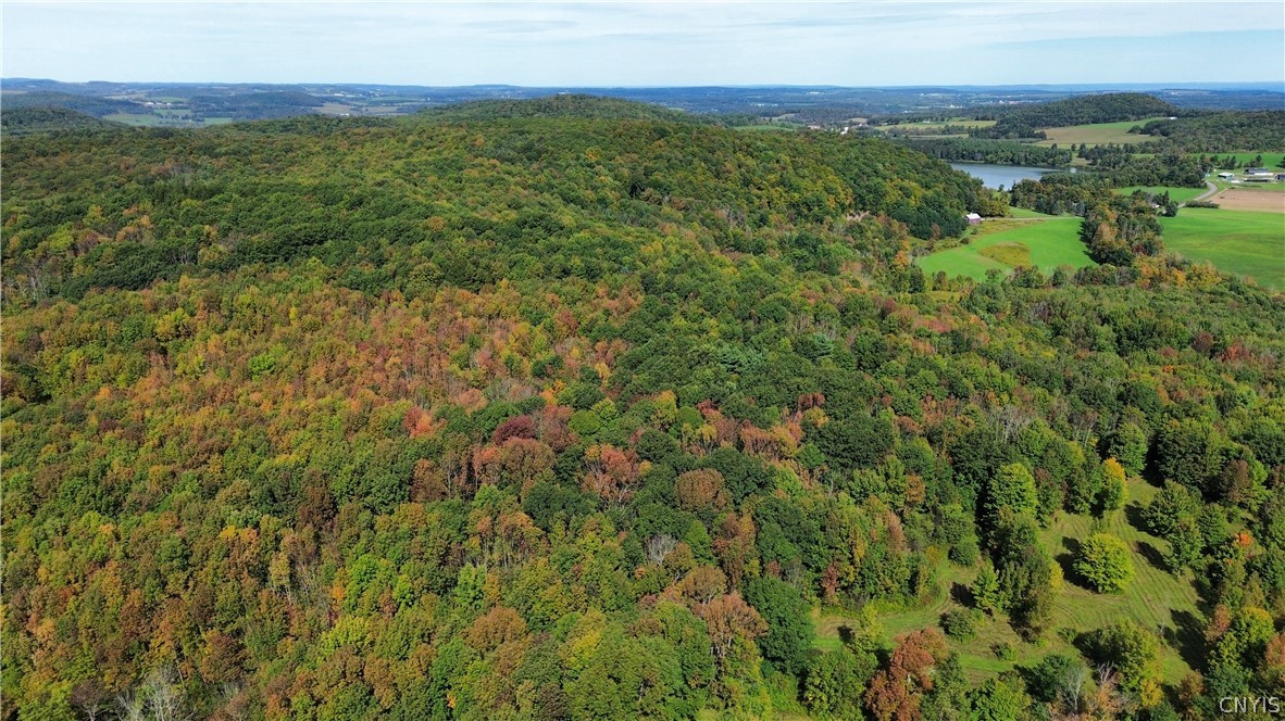 Lot 21 Buddle Road Richfield Springs, NY 13439 - Photo 20 of 21 Gallery Image 20