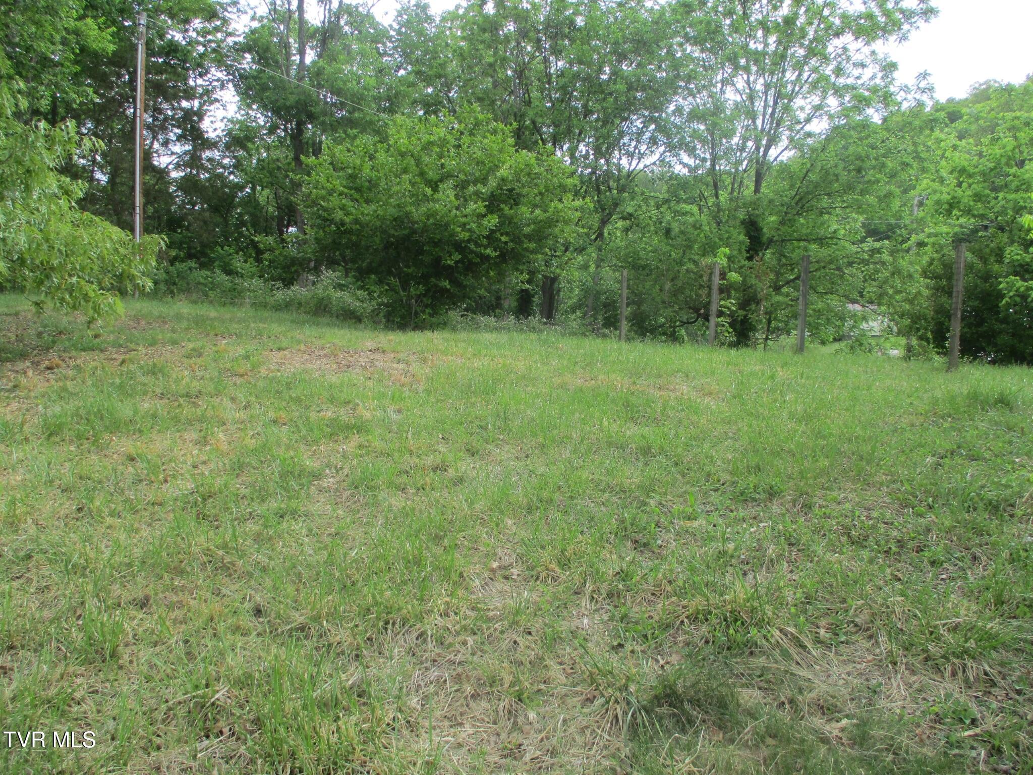 270 Forrest Road Fall Branch, TN 37656 - Photo 21 of 25 21 IMG_9323