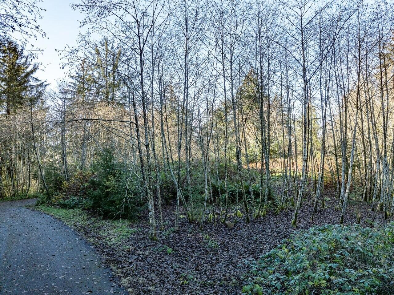 Lot 68 Bay View Road Astoria, OR 97103 - Photo 3 of 40 Karla Neh Pt lot 4