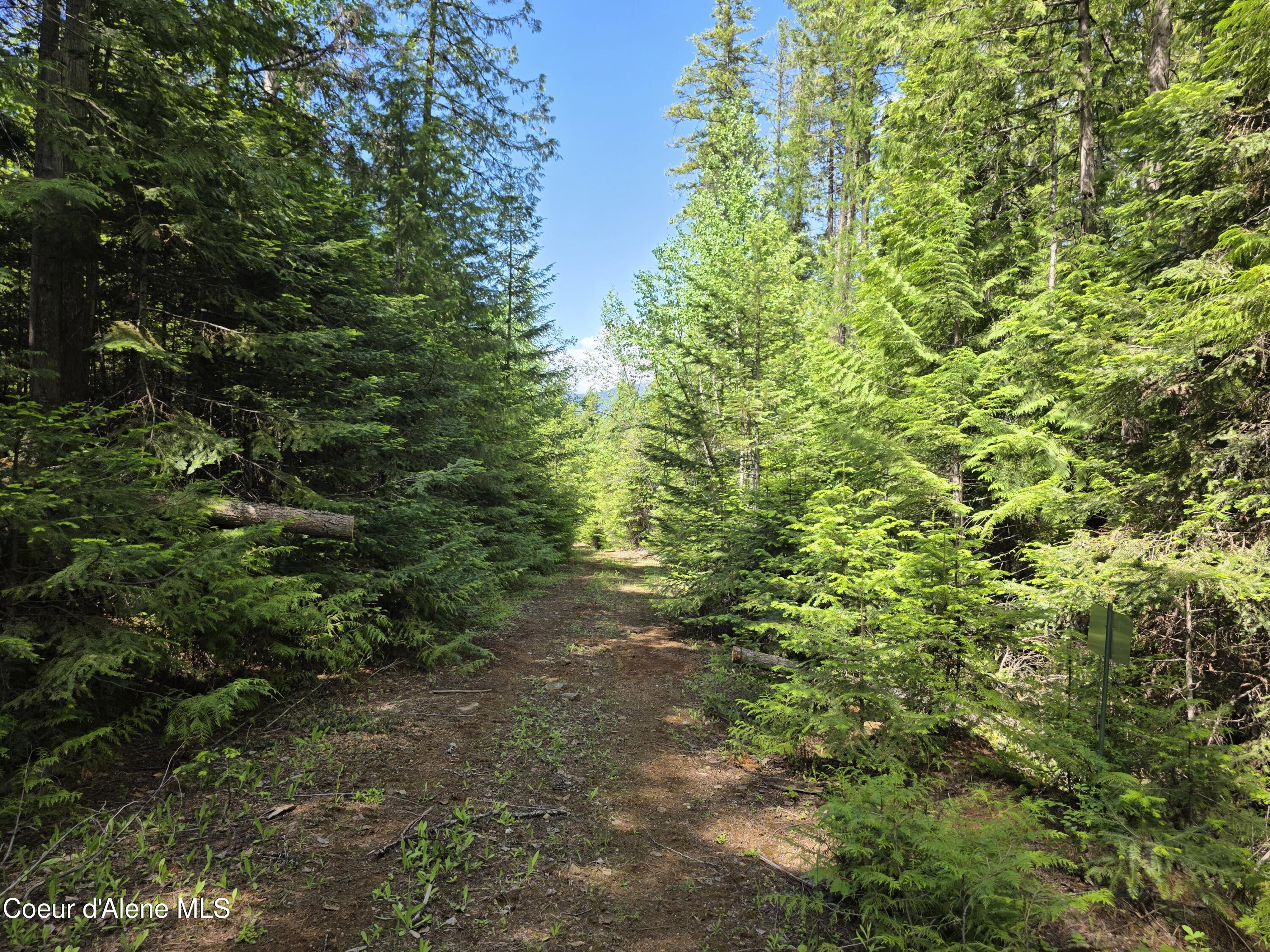 5784 River Road Clark Fork, ID 83811 - Photo 17 of 38 20260604_142625