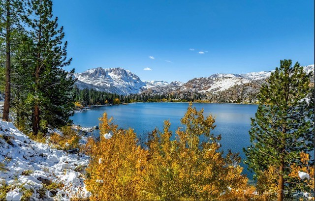 251 Forest Road June Lake, CA 93529 - Photo 45 of 48 Gallery Image 45