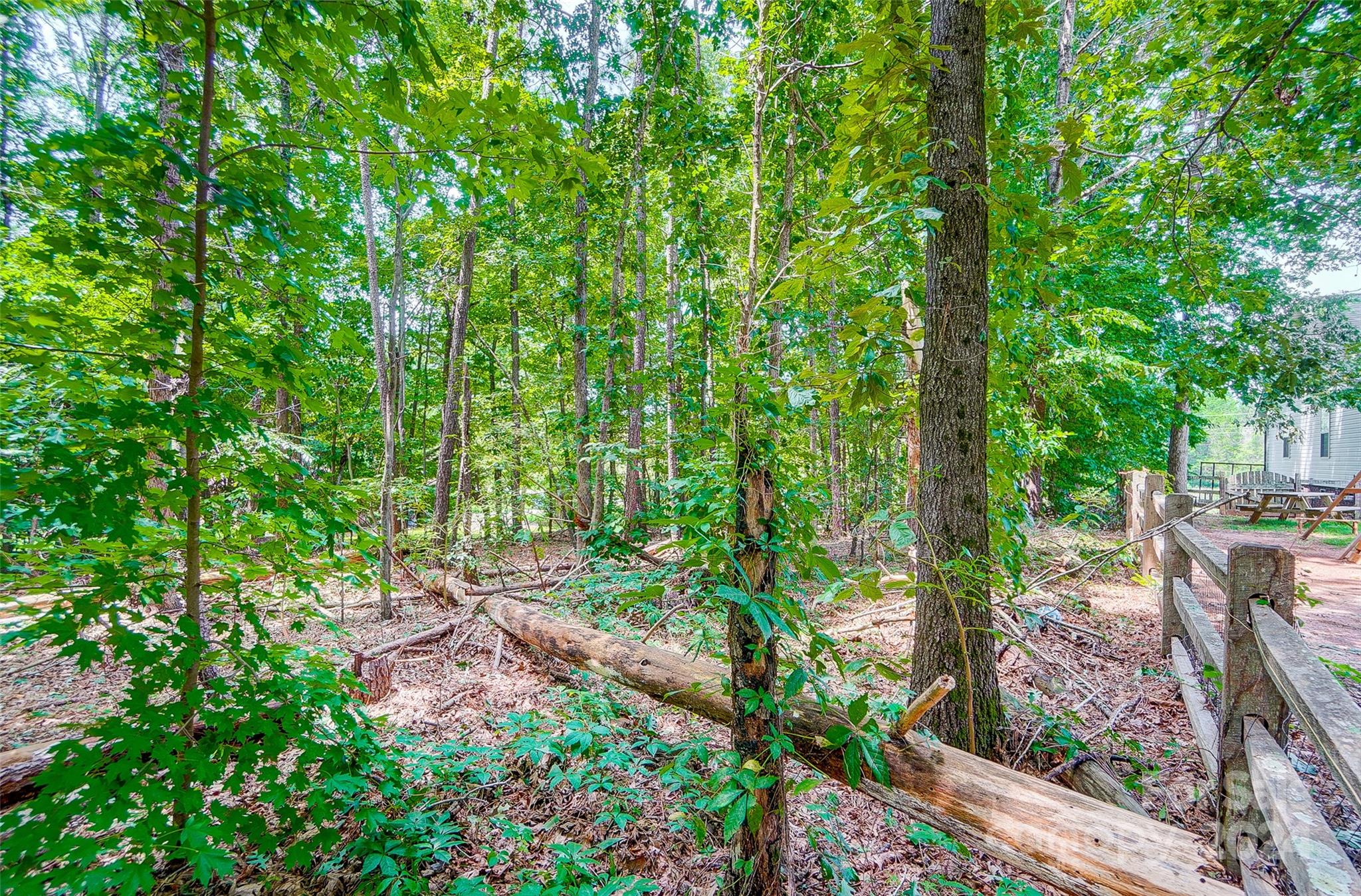 5174 Davidson Road Davidson, NC 28036 - Photo 12 of 12 a backyard of a house with lots of green space and garden view