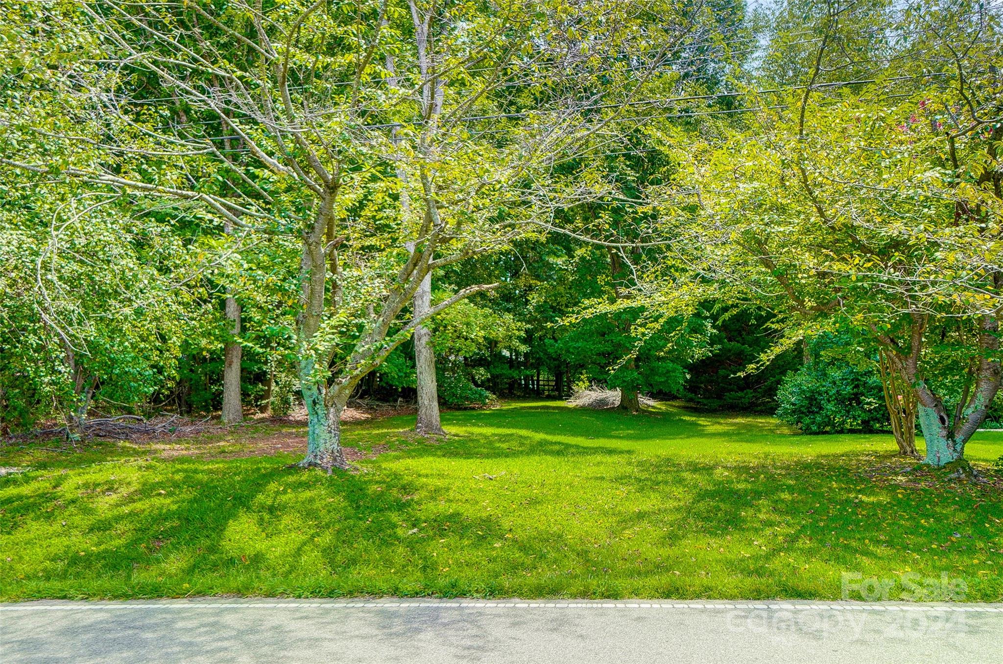 5174 Davidson Road Davidson, NC 28036 - Photo 2 of 12 a view of a backyard with green space