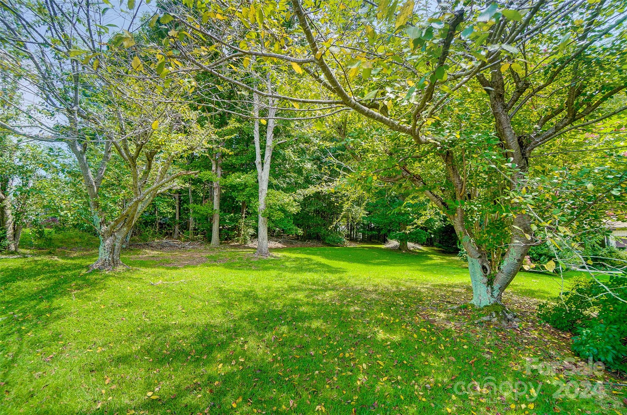 5174 Davidson Road Davidson, NC 28036 - Photo 4 of 12 a view of a lush green space