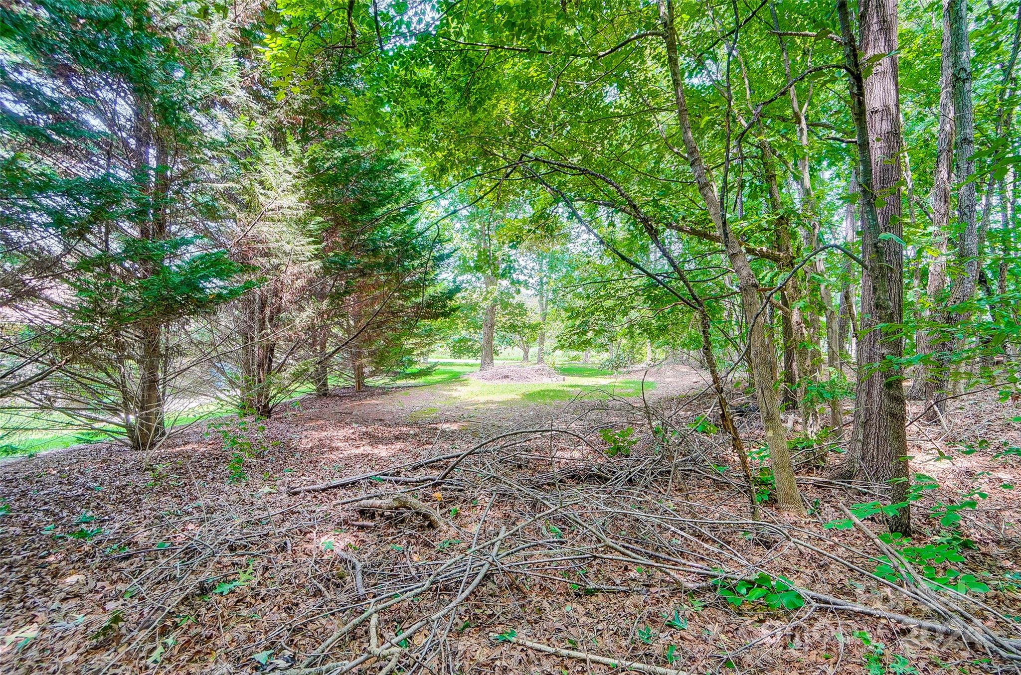5174 Davidson Road Davidson, NC 28036 - Photo 10 of 12 a view of outdoor space and trees
