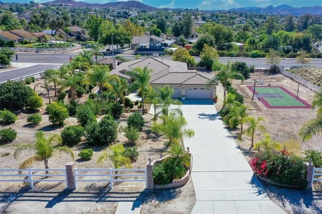 a view of a garden with potted plants