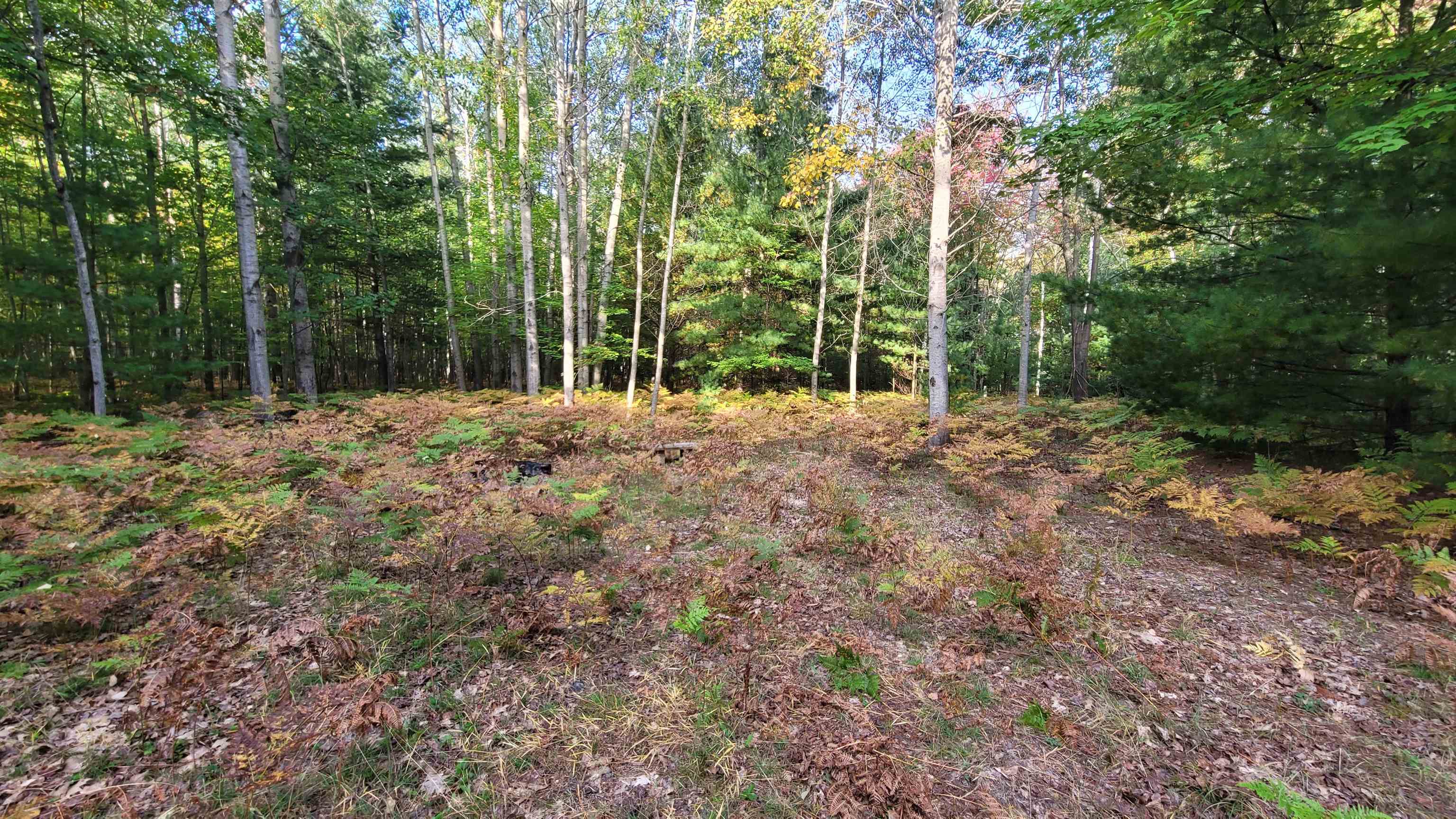 West Sun Oil Road Gladwin, MI 48624 - Photo 8 of 11 Gallery Image 8