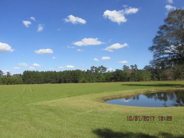0 South Bennett Road Independence, LA 70443 - Photo 7 of 11