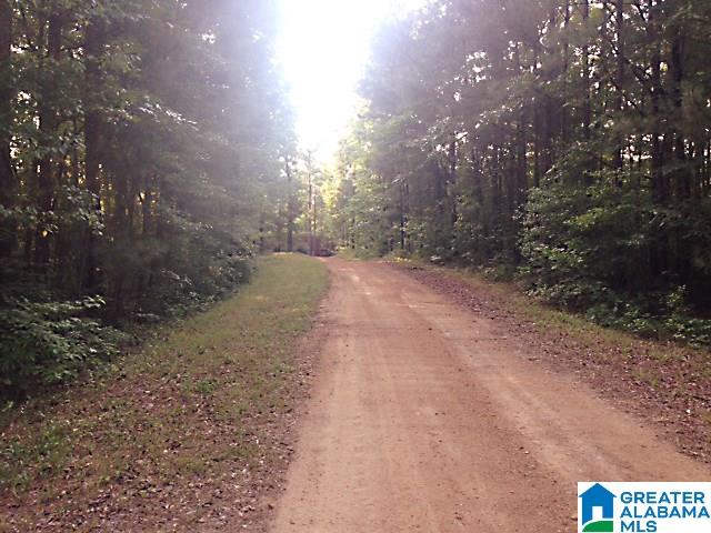 Sycamore Road, Unit 125 Columbiana, AL 35051 - Photo 8 of 14