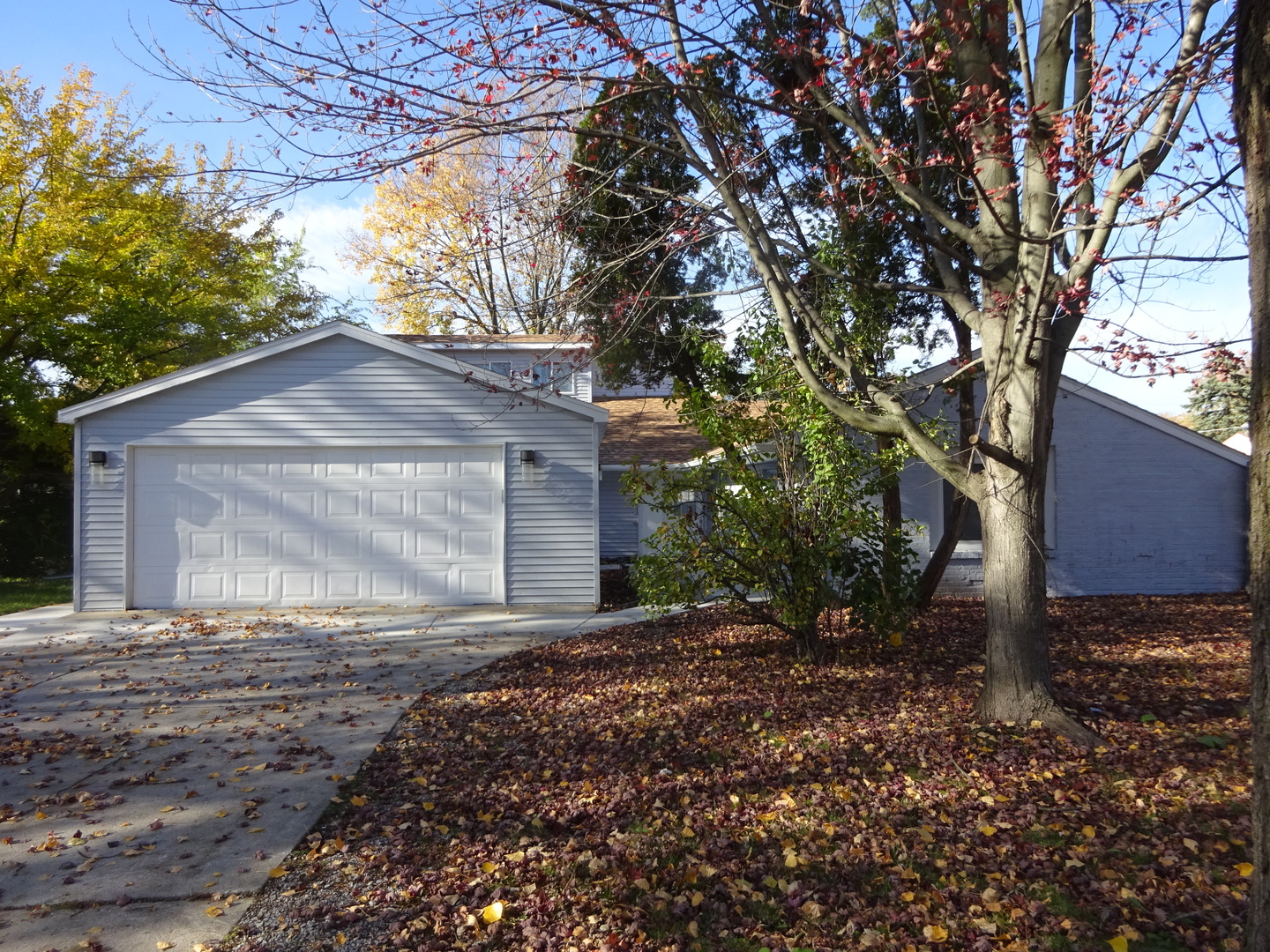 169 South Pinecrest Road Bolingbrook, IL 60440 - Photo 4 of 63