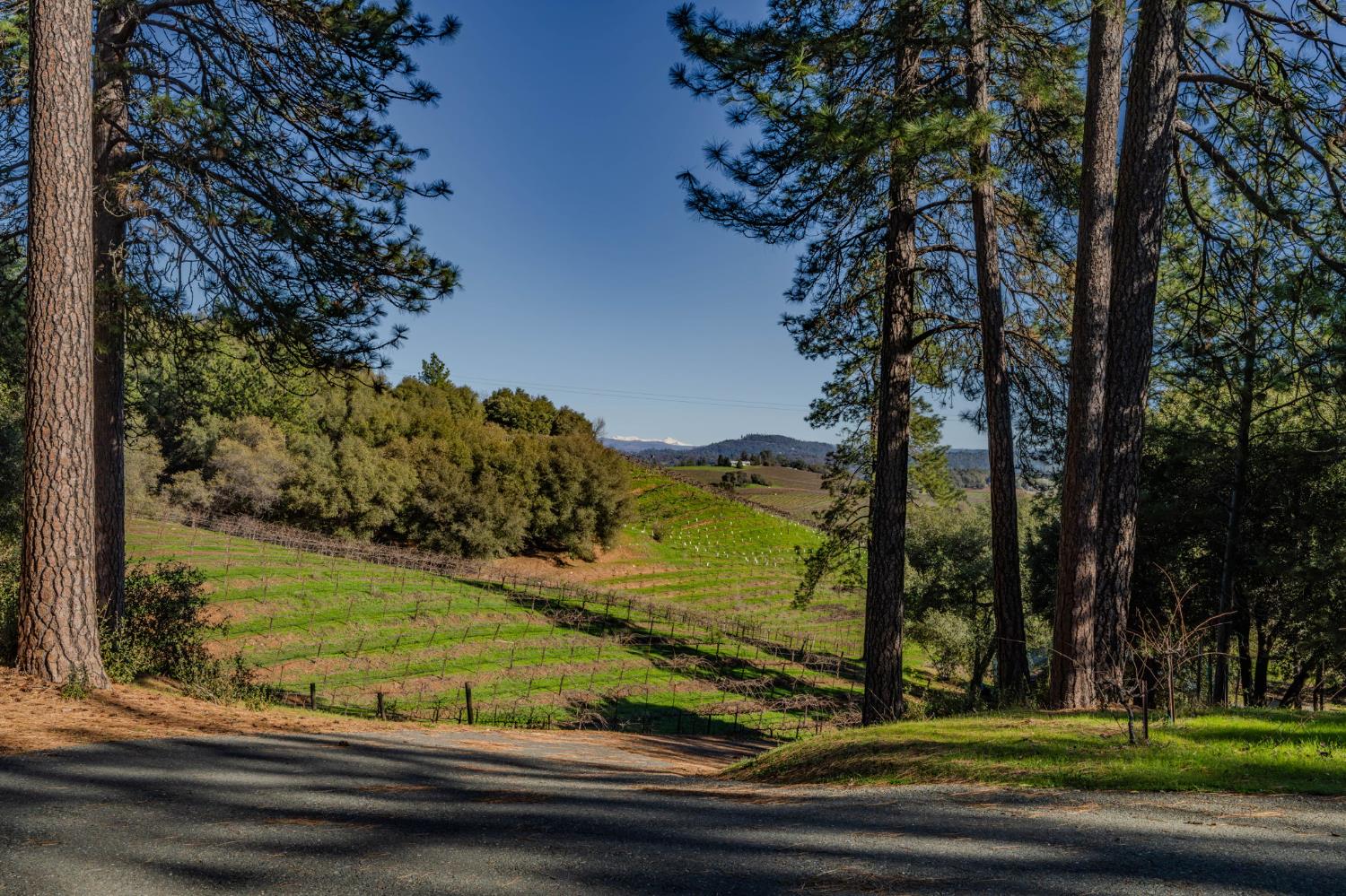 22707 Upton Road Plymouth, CA 95669 - Photo 4 of 99 Gallery Image 4