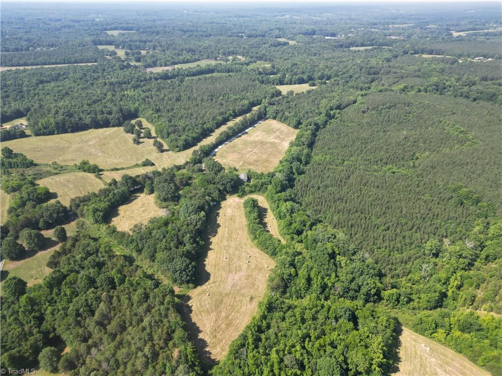 7875 Antioch Church Road Seagrove, NC 27341 - Photo 2 of 44