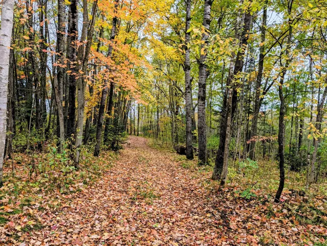 $120,000 | 64 Cornell Wi 54732, Cornell, WI 54732