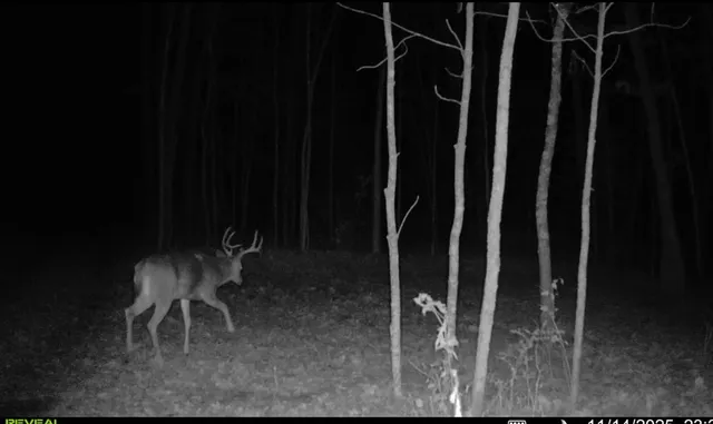 $120,000 | 64 Cornell Wi 54732, Cornell, WI 54732