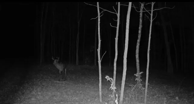 $120,000 | 64 Cornell Wi 54732, Cornell, WI 54732