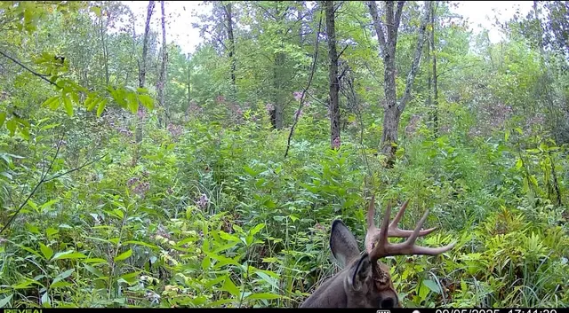 $120,000 | 64 Cornell Wi 54732, Cornell, WI 54732