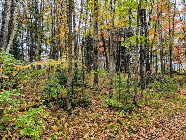 $120,000 | 64 Cornell Wi 54732, Cornell, WI 54732