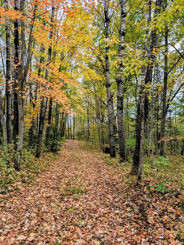 $120,000 | 64 Cornell Wi 54732, Cornell, WI 54732