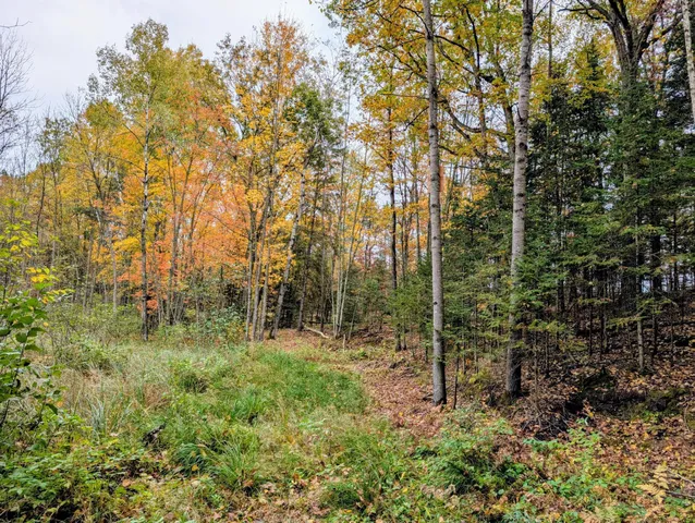 $120,000 | 64 Cornell Wi 54732, Cornell, WI 54732